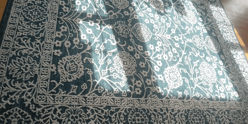 Carpet cleaning in Appling, GA