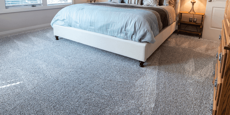 Carpet cleaning in Evans, GA