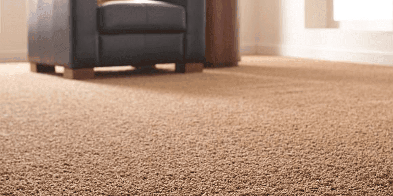Carpet cleaning in Martinez, GA