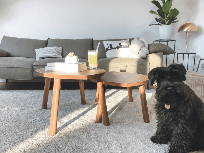 Carpet cleaning in Thomson, GA