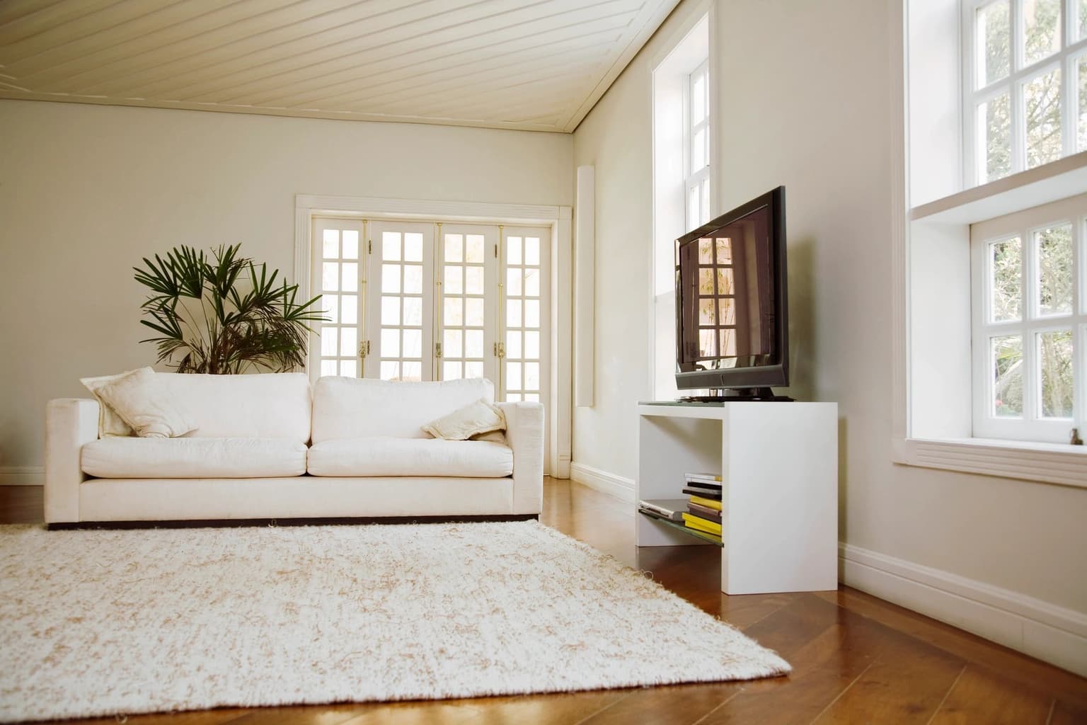 How Often Should You Have Your Carpets Professionally Cleaned in Columbia County?