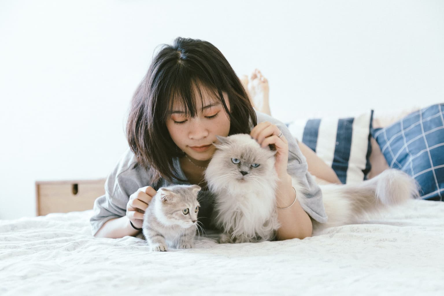 Why Your Pet Stain Keeps Coming Back (And What Actually Fixes It)