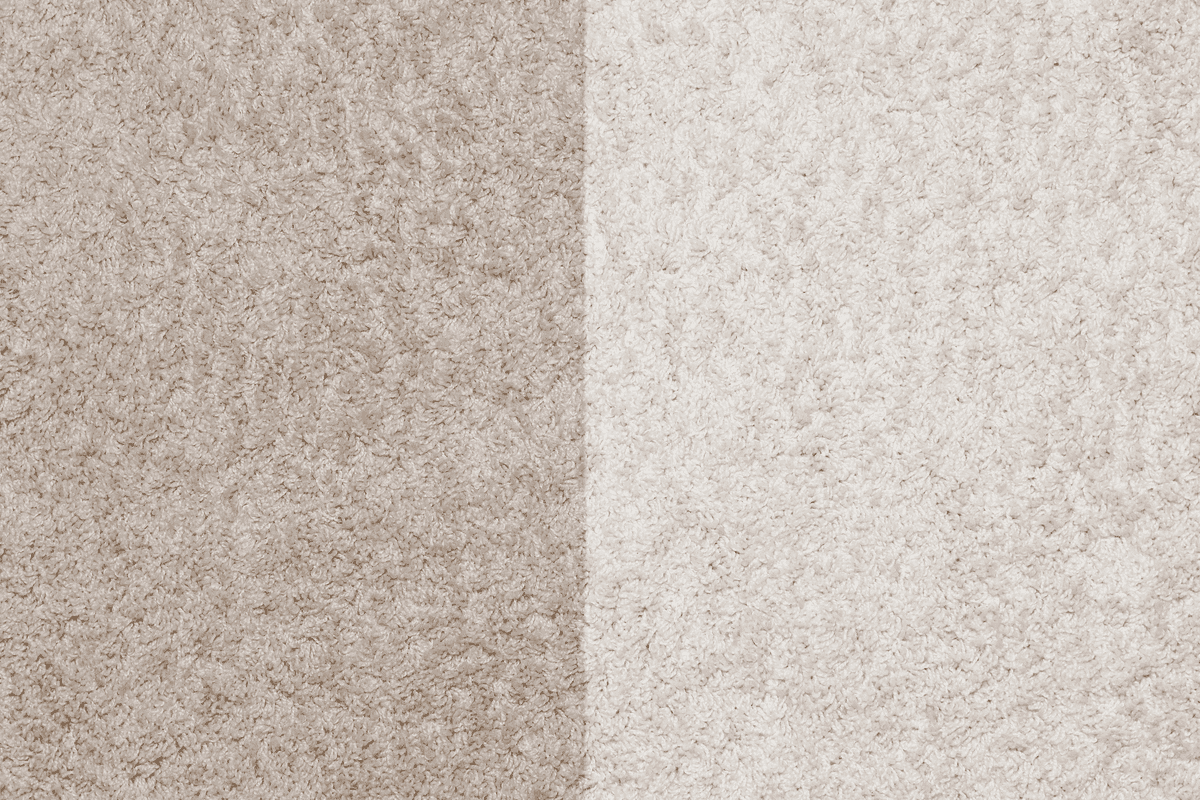 Carpet Cleaning